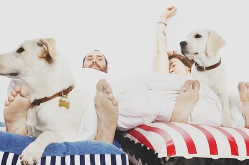 Tα χειροποίητα αξεσουάρ Ohhmydog! δίνουν νέο νόημα στη «σκυλίσια ζωή»