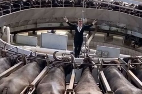 Η απάντηση του Άρη Βεζενέ στη σκληρή φωτογραφία του Τούρκου σεφ Nusret και της σφαγής των ζώων 