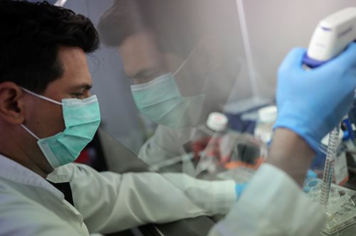 Ελληνοαμερικανοί επιστήμονες ανέπτυξαν κοκτέιλ αντισωμάτων που μπλοκάρει την COVID-19 σε ζώα