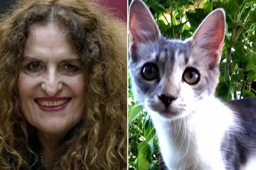 «Καλημέρα σας, το όνομα μου είναι Γκράου. Είμαι η αδελφή της άλλης, της όμορφης της Κανέλλας»