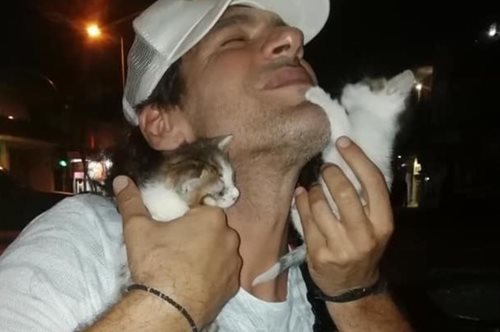 Τα ταΐζει στο στόμα με σύριγγα: Ο Γιάννης Σπαλιάρας έγινε χαζομπαμπάς για δύο γατάκια