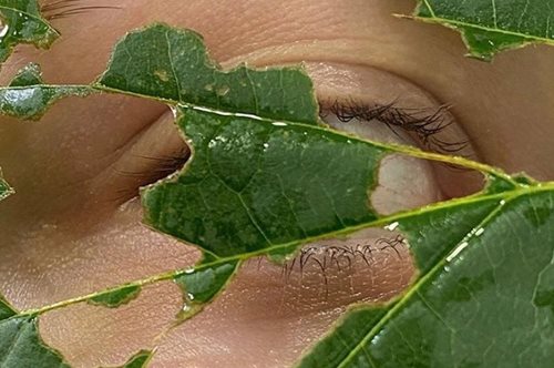 Η παράξενη περίπτωση των καλλυντικών από βρόμη και καφέ που ξεπουλούν ξανά και ξανά