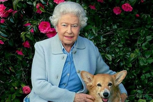 Δεν το πιστεύω ότι αυτό το «γιαγιαδίστικο» τρεντ που λατρεύει η Ελισάβετ είναι η μεγαλύτερη τάση 