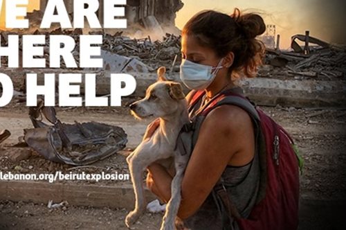 Σαλιάρικα φιλιά και τούμπες: Η συγκινητική επανένωση των κατοίκων της Βηρυτού με τα κατοικίδιά τους