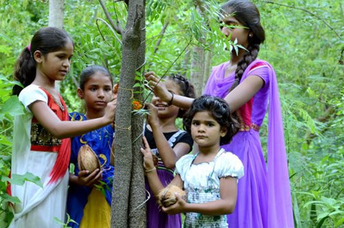 Η αποθέωση της γυναικείας ύπαρξης: Χωριό της Ινδίας φυτεύει 111 δέντρα όταν γεννιέται ένα κορίτσι