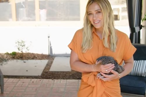 «Αυτή είναι η Πάτι»: Η Χίλαρι Νταφ έχει κότες στην αυλή του σπιτιού της και μποστάνι στον κήπο της 