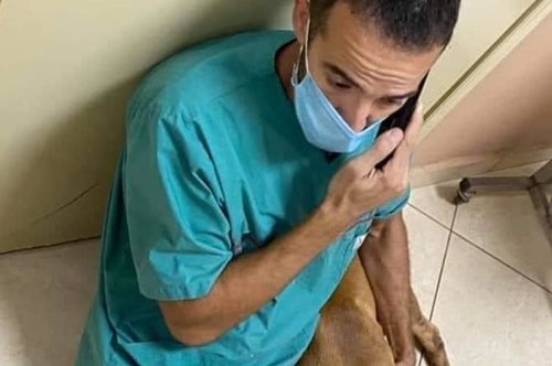 Ο κτηνίατρος που έσωσε τον φρικτά βασανισμένο σκύλο στα Χανιά: «Τον χειρούργησε αφιλοκερδώς»