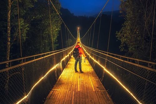 Τοπίο από παραμύθι: Μια γέφυρα από φως μάς προσκαλεί στην καρδιά ενός πυκνού δάσους