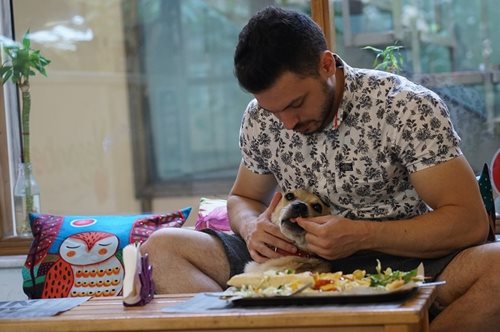 «Το να είναι κάποιος απλά χορτοφάγος είναι γαλακτοκωμικό»: Συνέντευξη με έναν βίγκαν comedian