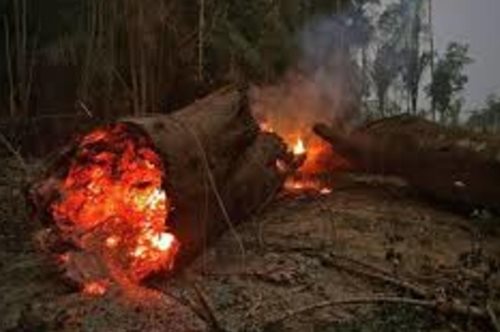 Και ο Αμαζόνιος συνεχίζει να φλέγεται: Ο πνεύμονας της γης νοσεί 