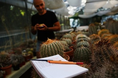 «Η ομορφιά του κάκτου έχει να κάνει με την προσπάθειά του να επιβιώσει σε ένα αφιλόξενο περιβάλλον»