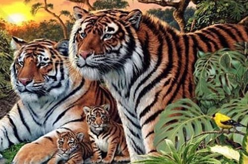 Πόσες τίγρεις κρύβονται στην εικόνα; Ο νέος γρίφος που σαρώνει στο Internet