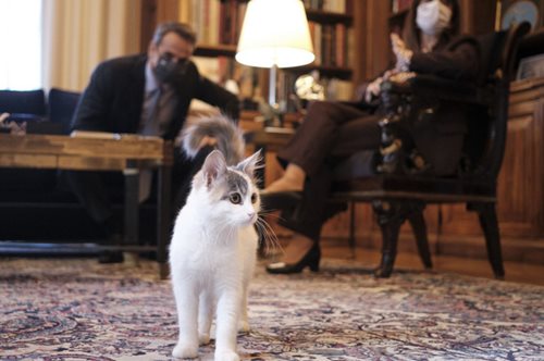 «Η μικρή Καλυψώ σαν Σταχτοπούτα βρέθηκε από τα βουνά της Καρπάθου στο Προεδρικό Μέγαρο»