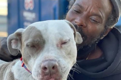 Ο ηρωικός άστεγος που όρμηξε μέσα σε φλεγόμενο καταφύγιο αδέσποτων ζώων, σώζοντας ζωές