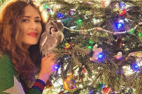 Στον κόσμο της Σάλμα Χάγιεκ είναι πάντα καλοκαίρι: Με μπικίνι ετοιμάζεται να υποδεχτεί τη νέα χρονιά