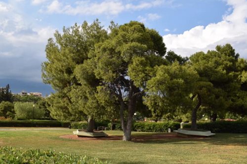 Κλείνει και το Άλσος Βεΐκου στο Γαλάτσι σε μια προσπάθεια ανακοπής της διασποράς του κορονοϊού