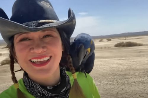 Ξέρουμε τι έκανε όλος ο πλανήτης στις 25 Ιουλίου του 2020: Το viral ντοκιμαντέρ του YouTube