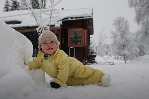 Οικογένεια με δύο σκύλους και δύο γάτες ζει σε καλύβα 15 τ.μ. χωρίς ηλεκτρισμό, σε σουηδικό δάσος