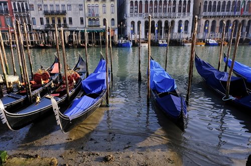 Από τις πλημμύρες στην άμπωτη: Στέρεψαν σχεδόν τελείως τα εμβληματικά κανάλια της Βενετίας