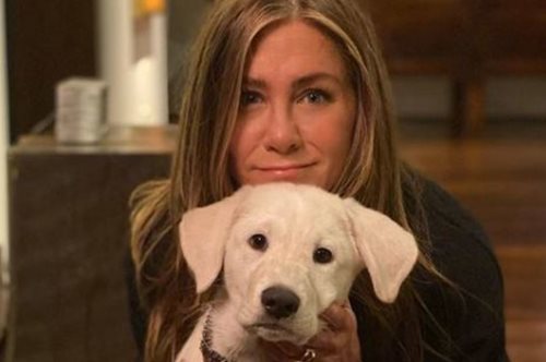 Οι αγαπημένες κρέμες ματιών των σταρ του Χόλιγουντ: Για τα μάτια τους μόνο 