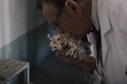 Το νέο film του οίκου Dior αποκαλύπτει τα μυστικά ενός εξαιρετικού αρώματος