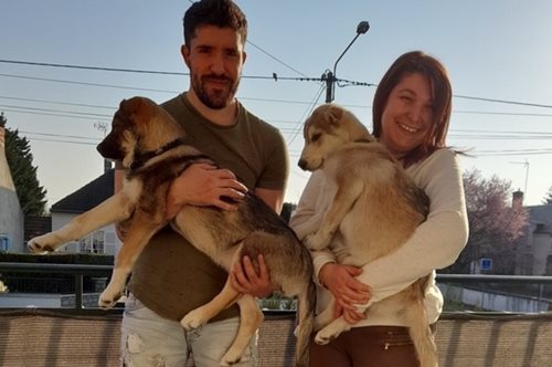 Νεαρό ζευγάρι υιοθέτησε ένα σκυλί και 45 λεπτά αργότερα πήρε και τον τυφλό αδερφό του