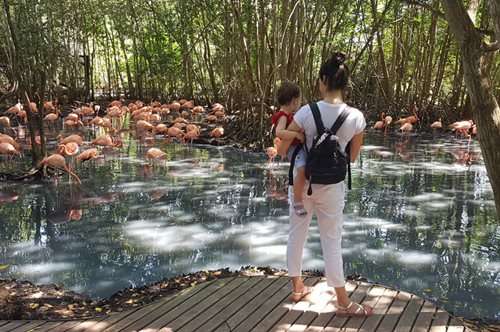 Η Πέλα και ο Αλέξανδρος έχουν ζήσει μαζί σε τέσσερις χώρες: Πώς είναι η νομαδική ζωή με μικρό παιδί