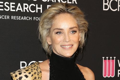 Η Σάρον Στόουν ποζάρει στα 63 της με κίτρινο μπικίνι & μας θυμίζει γιατί έχει υπάρξει «sex symbol»