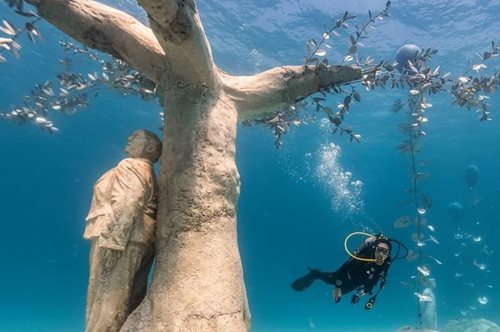 Ένα δάσος στον βυθό της Κύπρου: Το νέο, μαγικό, υποβρύχιο μουσείο γλυπτικής στην Αγία Νάπα