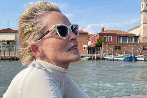 Η Σάρον Στόουν μόλις ανακοίνωσε τον θάνατο, του ενός έτους ανιψιού της