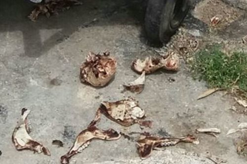 Μια λίγο άβολη και σοκαριστική αλήθεια σε μια φωτογραφία από τον Χολαργό