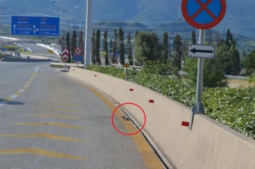 Έκλεισαν δύο λωρίδες της γέφυρας Ρίου-Αντιρρίου για να σώσουν ένα γατάκι