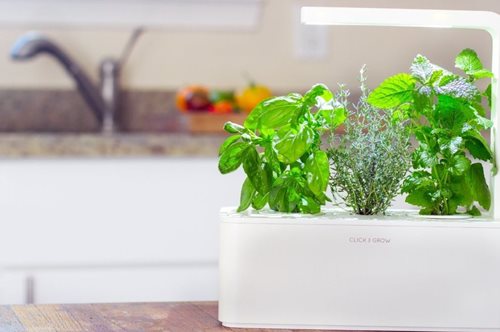 Click and Grow: Ένας λαχανόκηπος (από το μέλλον) στην κουζίνα μας. Η καλλιέργεια είναι αγχολυτική 