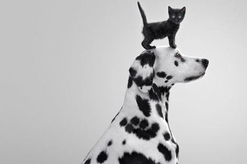 Προστάτεψε το δέρμα σου από τον ήλιο με τρία βήματα. Μια καμπάνια που συγκινεί και ενημερώνει