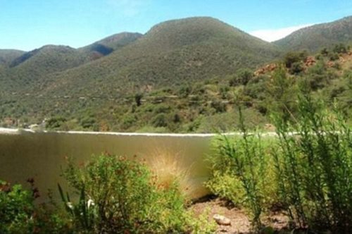 Η νέα οφθαλμαπάτη που έχει τρελάνει το ίντερνετ. Εσύ τι βλέπεις σε αυτή τη φωτογραφία; 