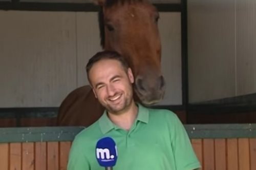 Άλογο ερωτεύεται Έλληνα δημοσιογράφο και κάνει το Internet να κλαίει από τα γέλια