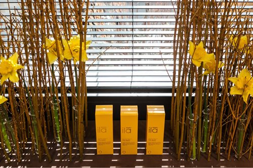 Θέλετε μια ξεχωριστή εμπειρία ευεξίας και χαλάρωσης; Τα «Asian Spa» σάς την προσφέρουν