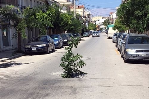 Είναι τρελοί αυτοί οι Ζακυνθινοί. Φύτεψαν δέντρο σε λακούβα για να μην πέφτουν μέσα οι οδηγοί