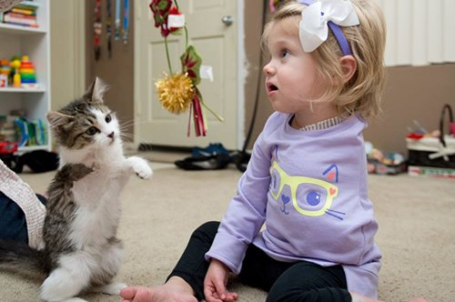 Ένα κοριτσάκι με ακρωτηριασμένο χέρι υιοθετεί γατάκι με τρία πόδια