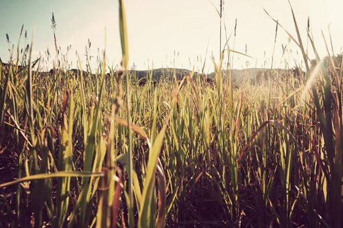 Travel Without Moving - Η ζωή σε ένα αγροτόσπιτο, λίγα χιλιόμετρα έξω από την Αθήνα