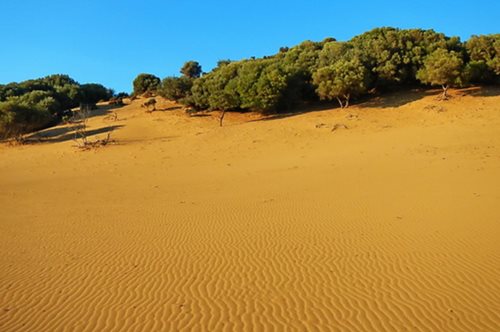 Η Ευρώπη έχει τη δική της έρημο και βρίσκεται στην Ελλάδα