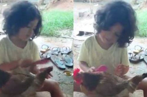 Ένα μικρό κοριτσάκι κάνει beauty make over στην κότα του