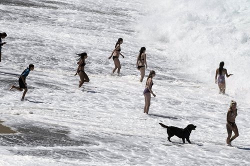 Τήνος: Έρωτας και θαύματα το δεκαπενταύγουστο σε 25 εικόνες