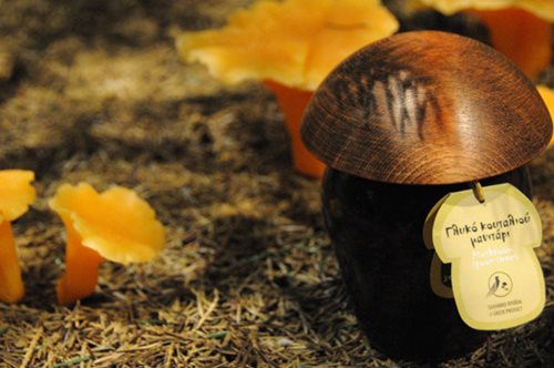 Στο Μουσείο Φυσικής Ιστορίας Μετεώρων & Moυσείο Μανιταριών συμβαίνει κάτι μοναδικό