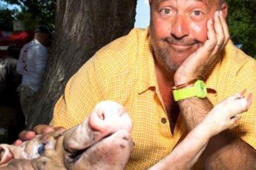 Τα πιο παράξενα φαγητά της Ελλάδας κατά τον Aμερικανό παρουσιστή Andrew Zimmern