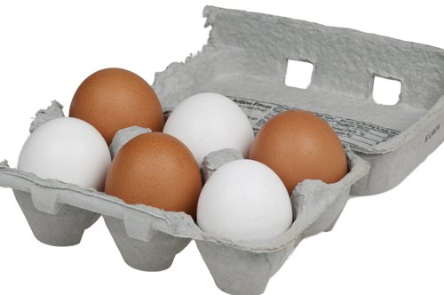 Γιατί μερικά αυγά είναι λευκά και μερικά καφέ;