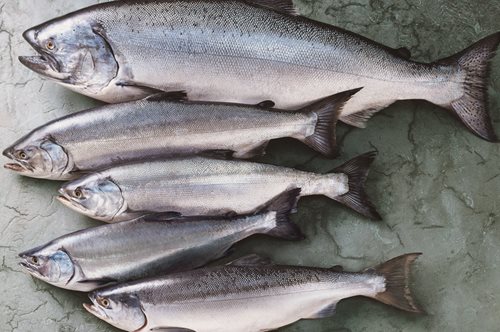 Aυτός είναι ο πιο γρήγορος και ασφαλής τρόπος να ξεπαγώσετε το κρέας ή το ψάρι