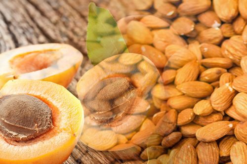 SOS στην κατανάλωση πικρών πυρήνων βερίκοκου και πικραμύγδαλων, που λαμβάνονται ως αντικαρκινογόνα