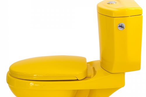 Το μεγάλο λάθος που κάνουμε όλοι με την τουαλέτα