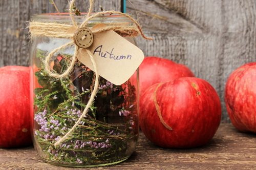 Κάνε το σπίτι σου να μυρίζει μαγικά με τα αρώματα του φθινοπώρου 